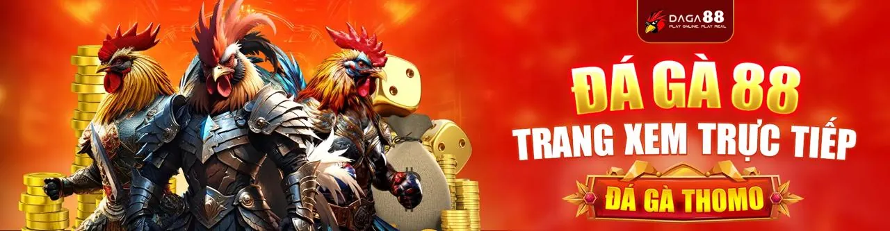 Sân chơi đá gà trực tuyến sôi động tại qu88 chính thức
